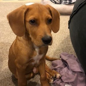 Meet your Posher, Amanda